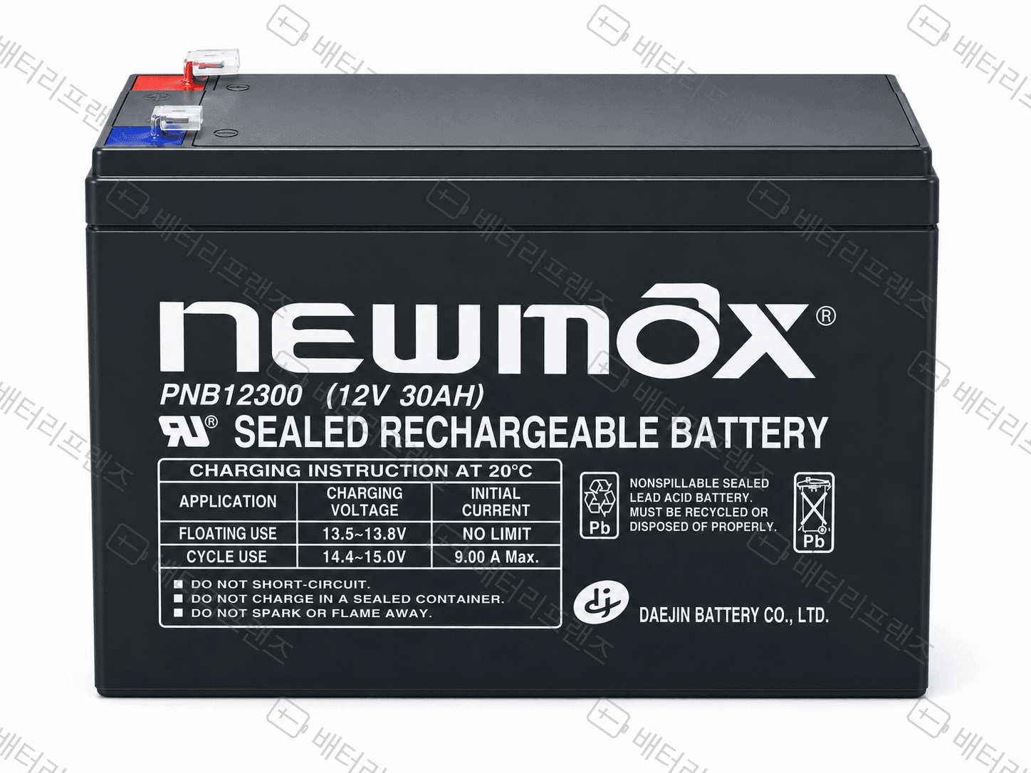 대진전지 뉴맥스 PNB12300 12V 30Ah 산업용 배터리 UPS 비상전원용